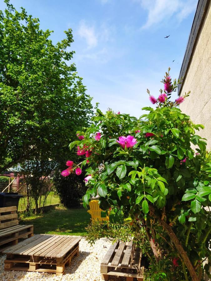 Maison Chic & Charme Calme Avec Jardin 勒芒 外观 照片